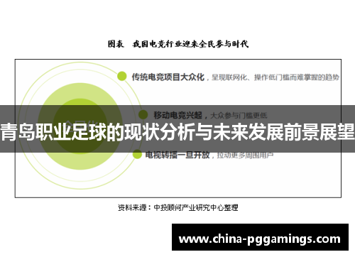 青岛职业足球的现状分析与未来发展前景展望