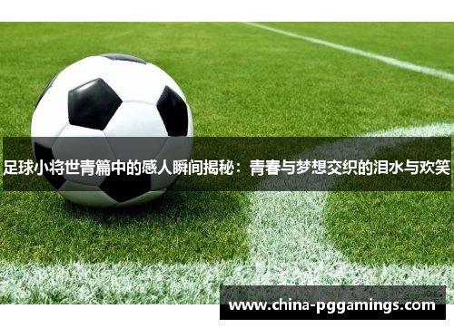 足球小将世青篇中的感人瞬间揭秘：青春与梦想交织的泪水与欢笑